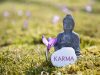 Karma, Universal Laws, and Your Career