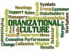 The Importance of Culture in Organizations